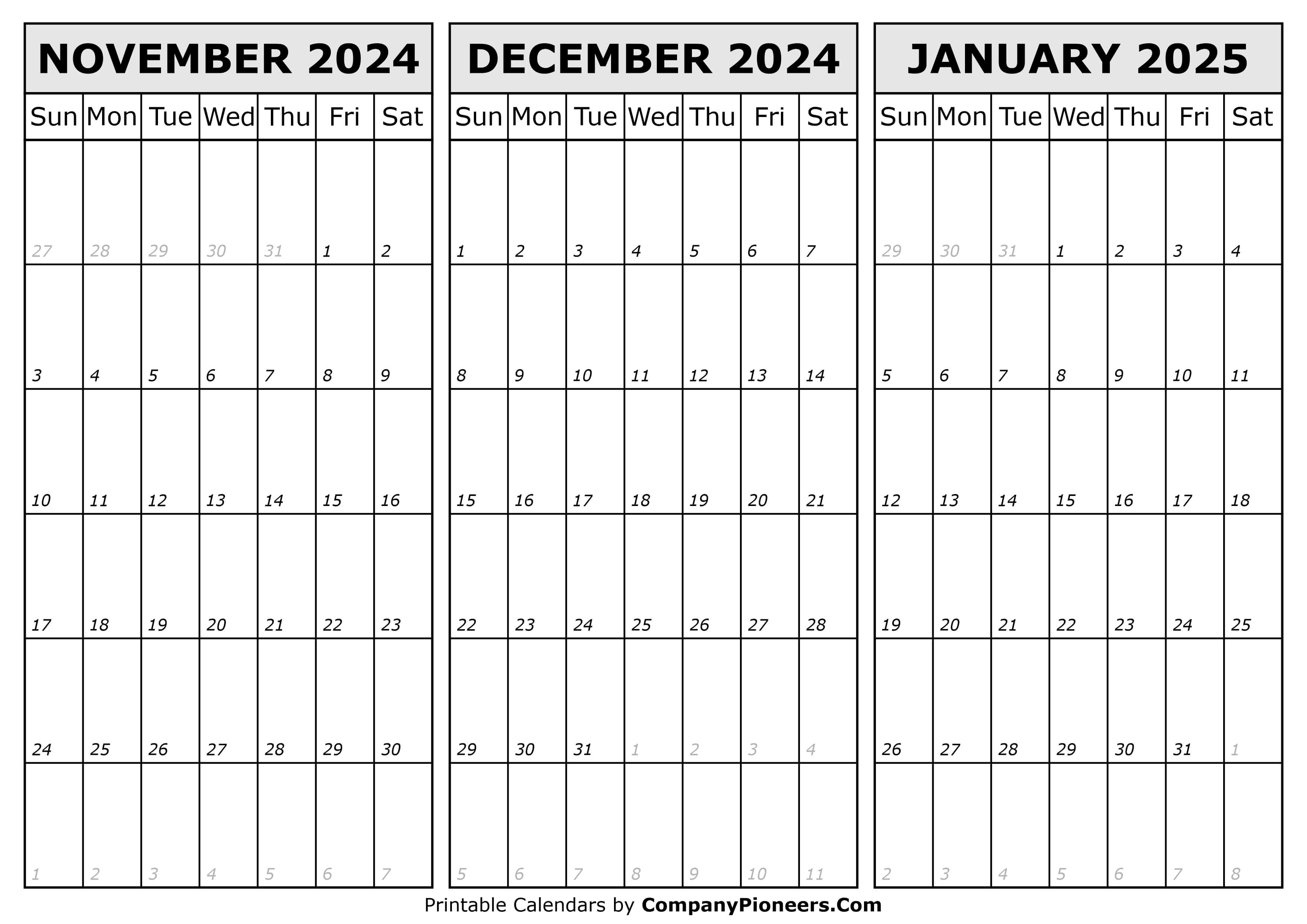 Calendar November 2024 to January 2025