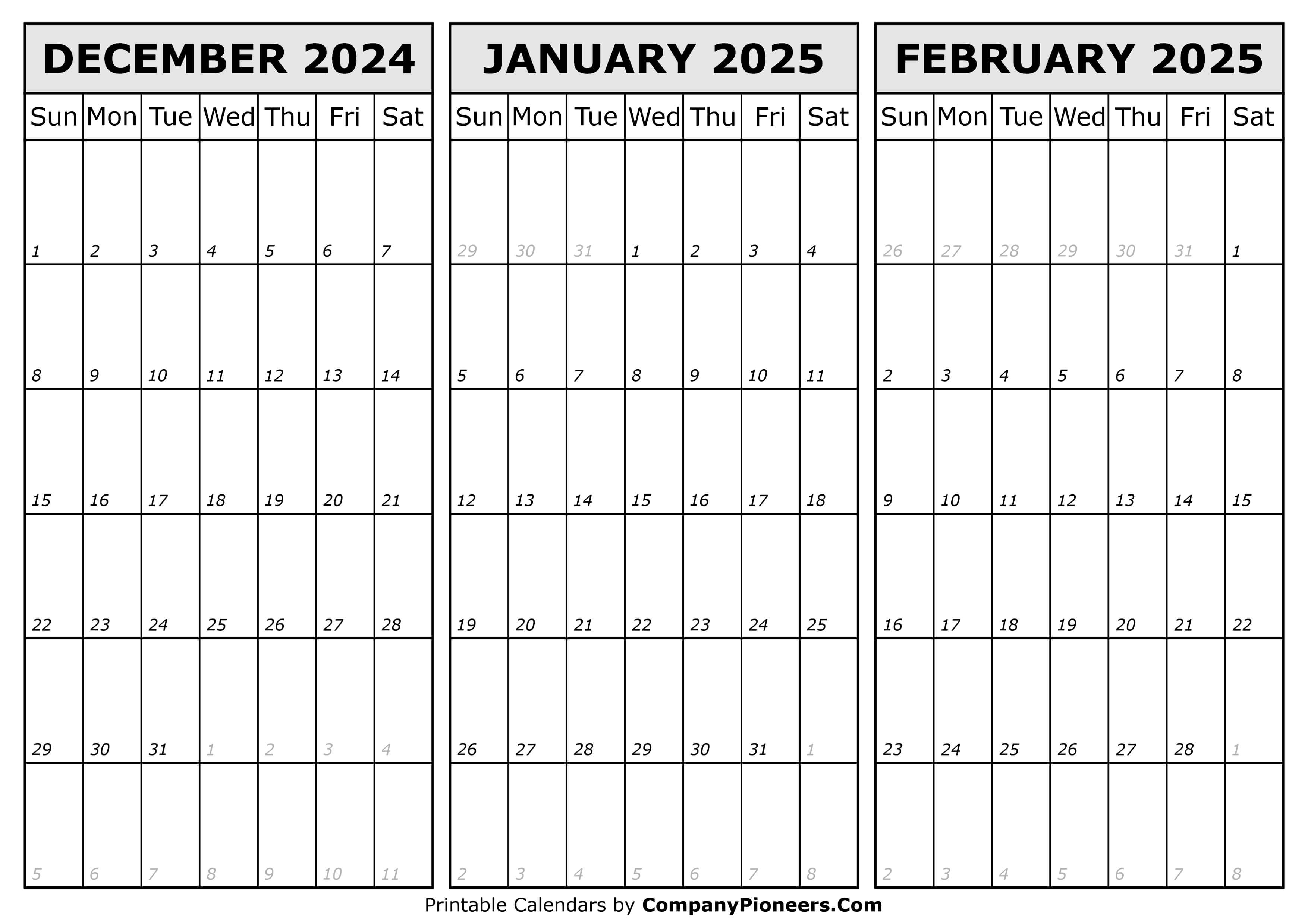 Calendar December 2024 to February 2025