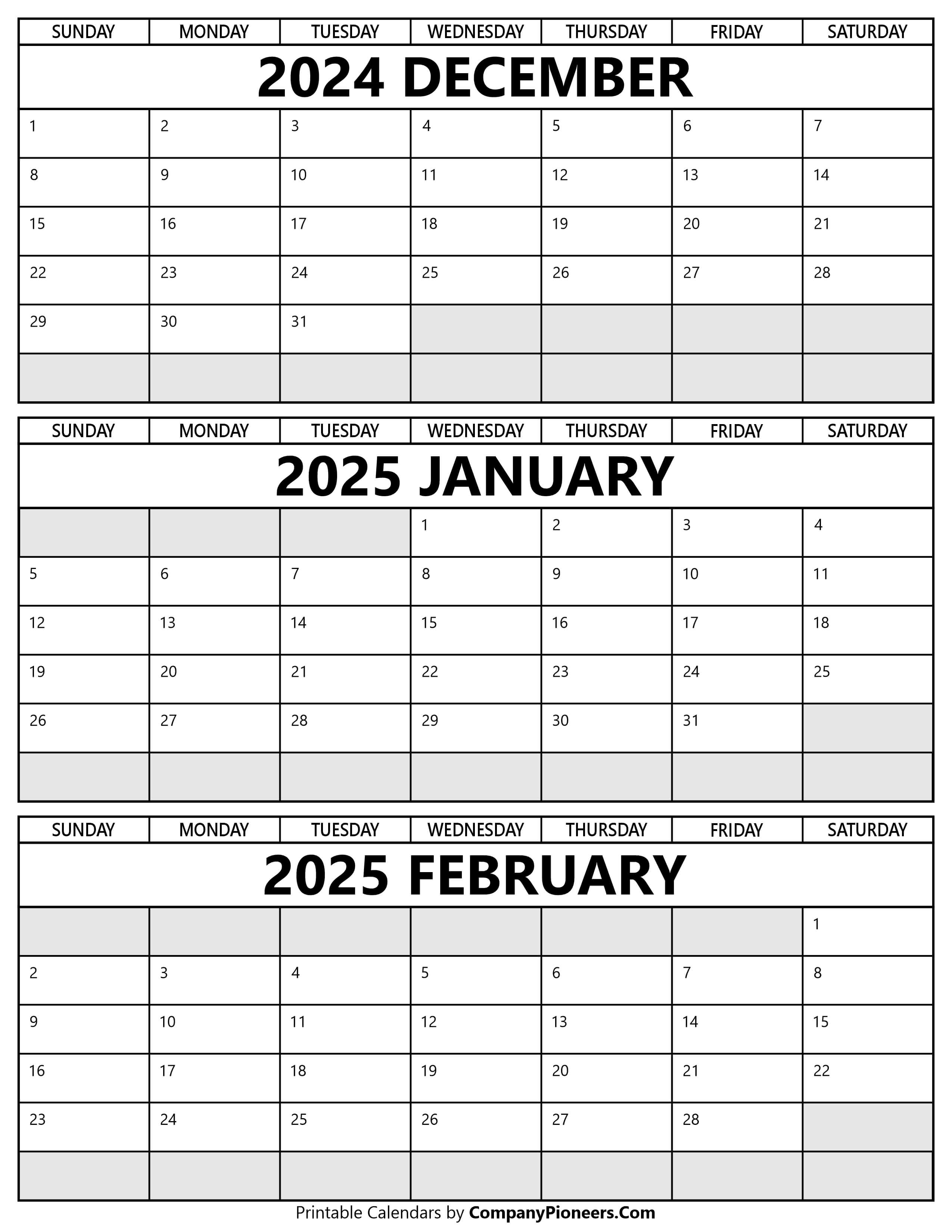 Printable December 2024 to February 2025 Calendar